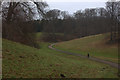 Blenheim Park path through a clearing in OX29 8ND