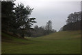 Blenheim Park clearing, looking west in OX29 8ND