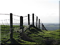 Fence on Mynydd Meiros in CF72 9NG