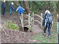 Walkers crossing neat footbridge in WR6 5HW