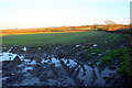 Waterlogged Field near Wheatlawn Farm in BA22 7LW
