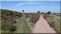 Tracks on the Quantock Hills in TA4 4BE