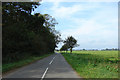 Country Road near East Winch in PE32 1HJ