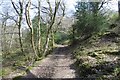 Track in Hodder's Combe in TA5 1SA