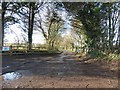 Track to Barrow Hills Farm in BA22 9FE