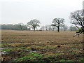 Bare Field off Wassell Grove Lane Hagley in DY9 9EP