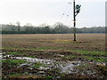 Wet Bare Field off Wassell Grove Lane Hagley in DY9 9EP