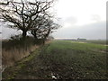 View towards a barn on The Ings near Spaldington in Spaldington