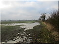 Waterlogged field on The Ings near Spaldington in Spaldington