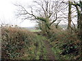 Ger Bryn Gwendraeth / Near Bryn Gwendraeth in SA32 8PG