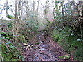 Llwybr ger Crwbin / Path near Crwbin in SA32 8BT