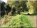 Path heading towards Grove Bridge Farm in OX12 7JS