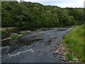 Cocken Wood and the River Wear in DH3 4EW