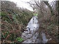 Flooded bridleway to Mosterton in DT8 3HE