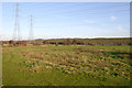 Grazing land in the Lea (or Lee) Valley in EN3 7PH