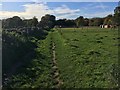 Path heading towards Appleton in Besselsleigh