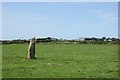 Standing stone at Trecenny near St David's in SA62 6QN