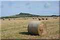 Harvested wheat field near Rhodiad-y-Brenin in St. David's Community