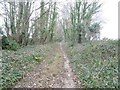 Puddletown, bridleway in DT2 7ST
