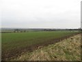 Arable land north of Killingworth in NE27 0BQ