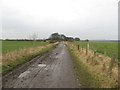Farm track south of Burradon House in NE12 5XT