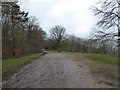 Ridge walk in Wendover Wood in HP22 5TA