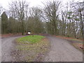 Approach to the hillfort in Wendover Woods in HP22 5TA