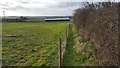 A walk between a hedge and a fence in CV13 6JY