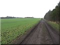 Farm track and footpath, Seghill in NE23 6FF