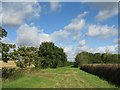 Dunstalls Drove in Ely East Ward