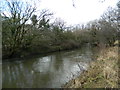 The River Ely at Brynsadler in CF72 9BA