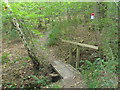 Footbridge in Parrott's Copse in KT24 5SE
