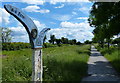 Path along the disused Derby Canal in DE72 3NT