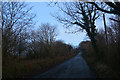 North Devon : Country Road in EX36 4SA