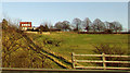 Footpath and house, Wales in Wales