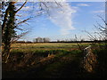 Stubble field off Marsh lane in DN14 9LR