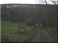 Track to ford, Lupton Beck in LA6 2PR