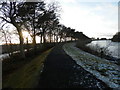 Tree lined path on edge of Monikie Reservoir in DD5 3PZ
