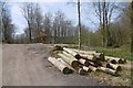Timber stack and building, Hooke Park in DT8 3PH