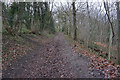 Carr Wood, Meerbrook, Sheffield in S14 1FB