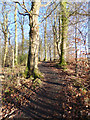 Footpath to Duncryne Hill in G83 8RZ