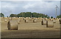 A field of bales in DD9 6TW