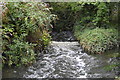 Overflow channel, River Wandle in CR4 4LN