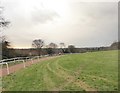 All-weather gallop near Langley Vale in KT18 6HU