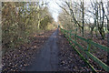 Path leading to Clifton Backies Nature Reserve, York in YO30 5ZA