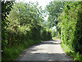 Goat Hall Lane, Galleywood in Goat Hall Ward