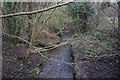 Meers Brook, Hang Bank Wood, Sheffield in S14 1LB