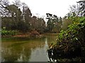 Ornamental lake at Wayford Woods in TA18 8QJ