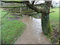 River Syderford in flood in TA20 4NB