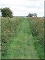 Grassy track heads towards Draining Pump in NR13 6EQ